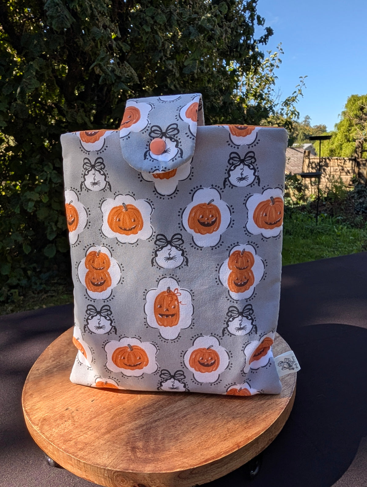 Booksleeve *Pumpking & Web*
