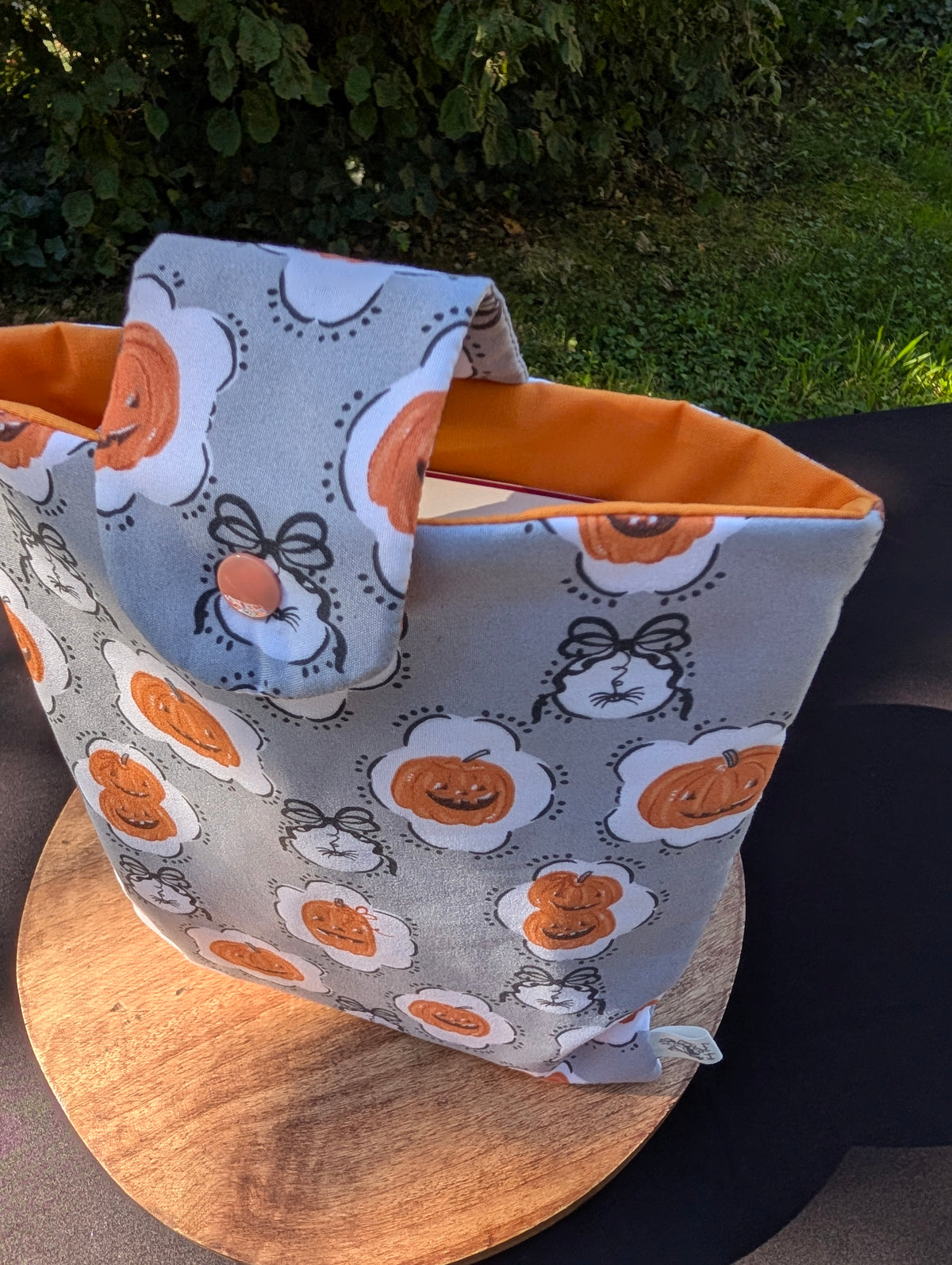 Booksleeve *Pumpking & Web*
