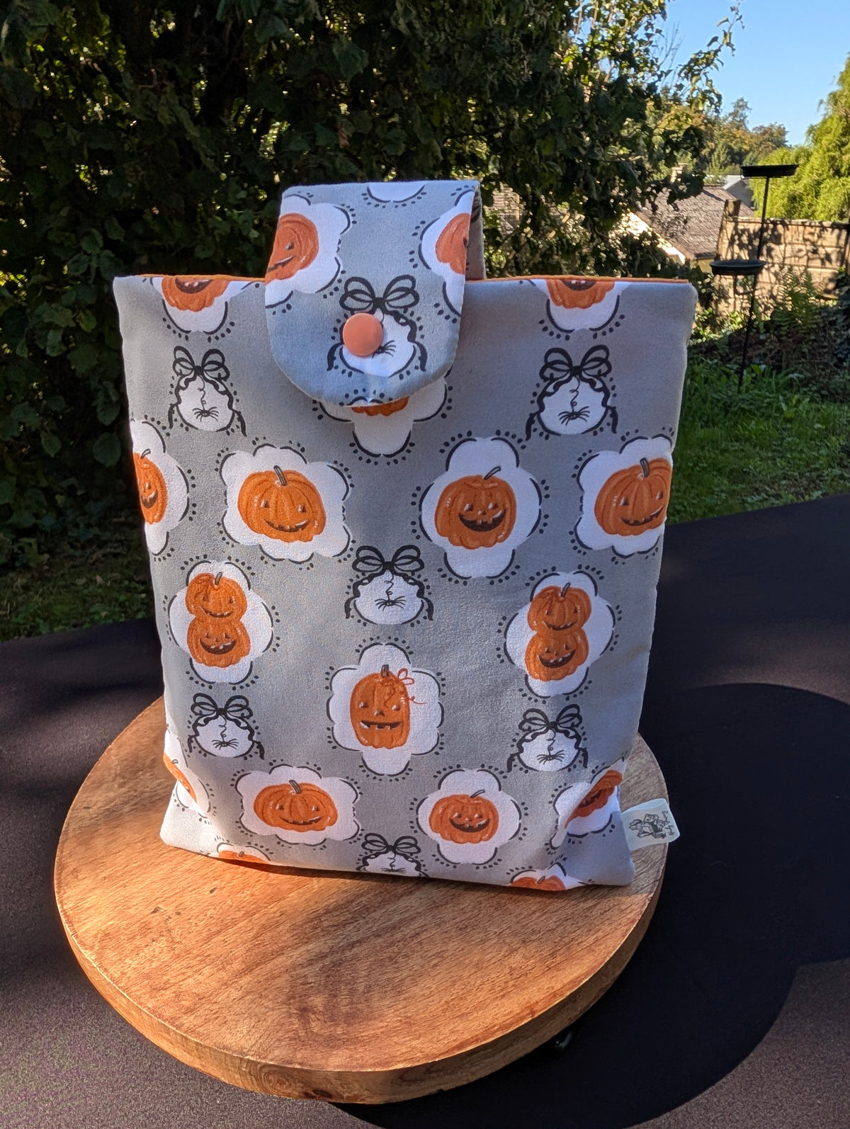 Booksleeve *Pumpking & Web*
